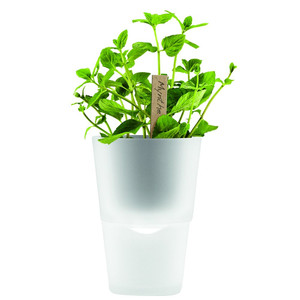 фото Горшок для растений Flowerpot, фарфоровый, белый