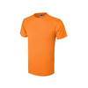 e0154f8cad4c3bbc