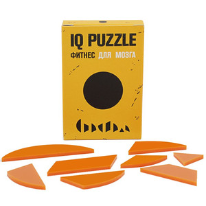 фото Головоломка IQ Puzzle Figures, круг