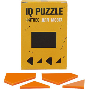 фото Головоломка IQ Puzzle Figures, прямоугольник